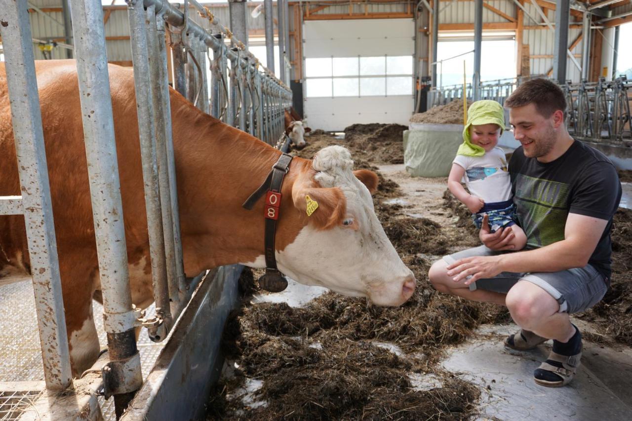 Kinderbauernhof Salmanner Steinbach an der Steyr エクステリア 写真