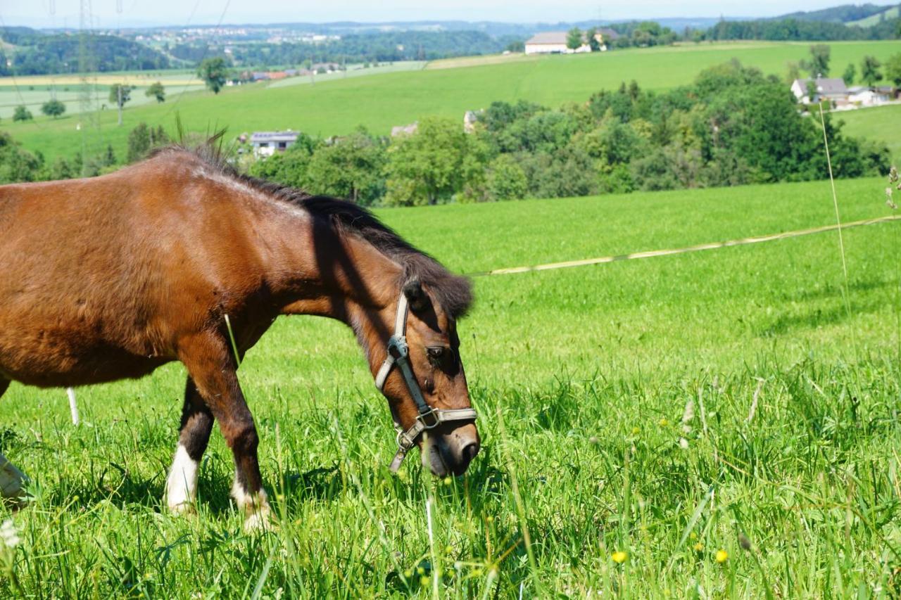 Kinderbauernhof Salmanner Steinbach an der Steyr エクステリア 写真