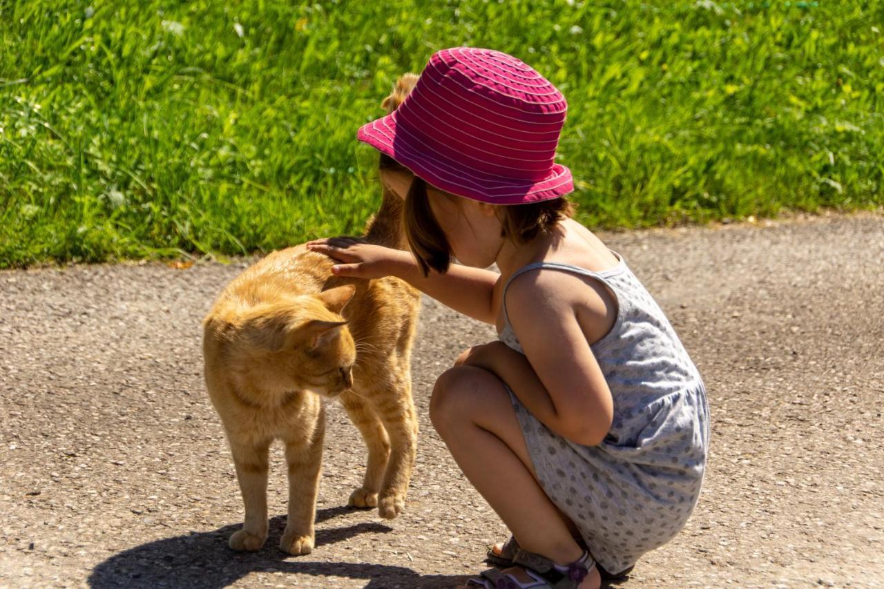 Kinderbauernhof Salmanner Steinbach an der Steyr エクステリア 写真