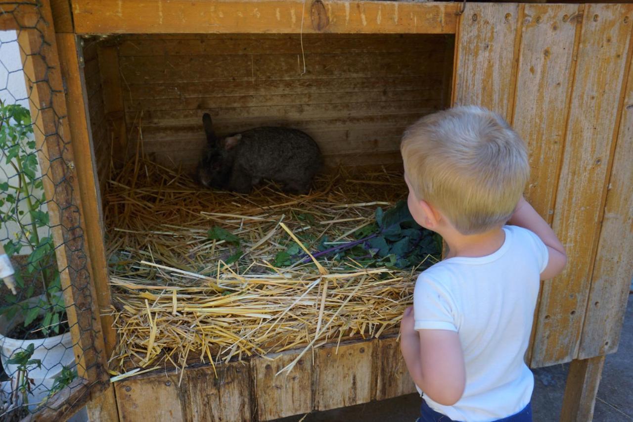 Kinderbauernhof Salmanner Steinbach an der Steyr エクステリア 写真