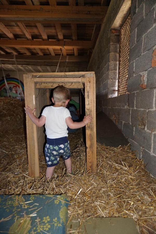 Kinderbauernhof Salmanner Steinbach an der Steyr エクステリア 写真