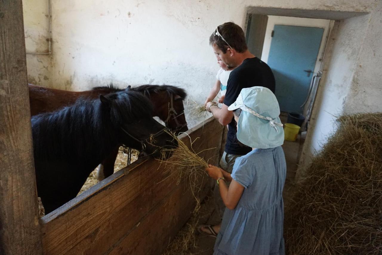 Kinderbauernhof Salmanner Steinbach an der Steyr エクステリア 写真