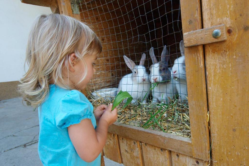 Kinderbauernhof Salmanner Steinbach an der Steyr エクステリア 写真
