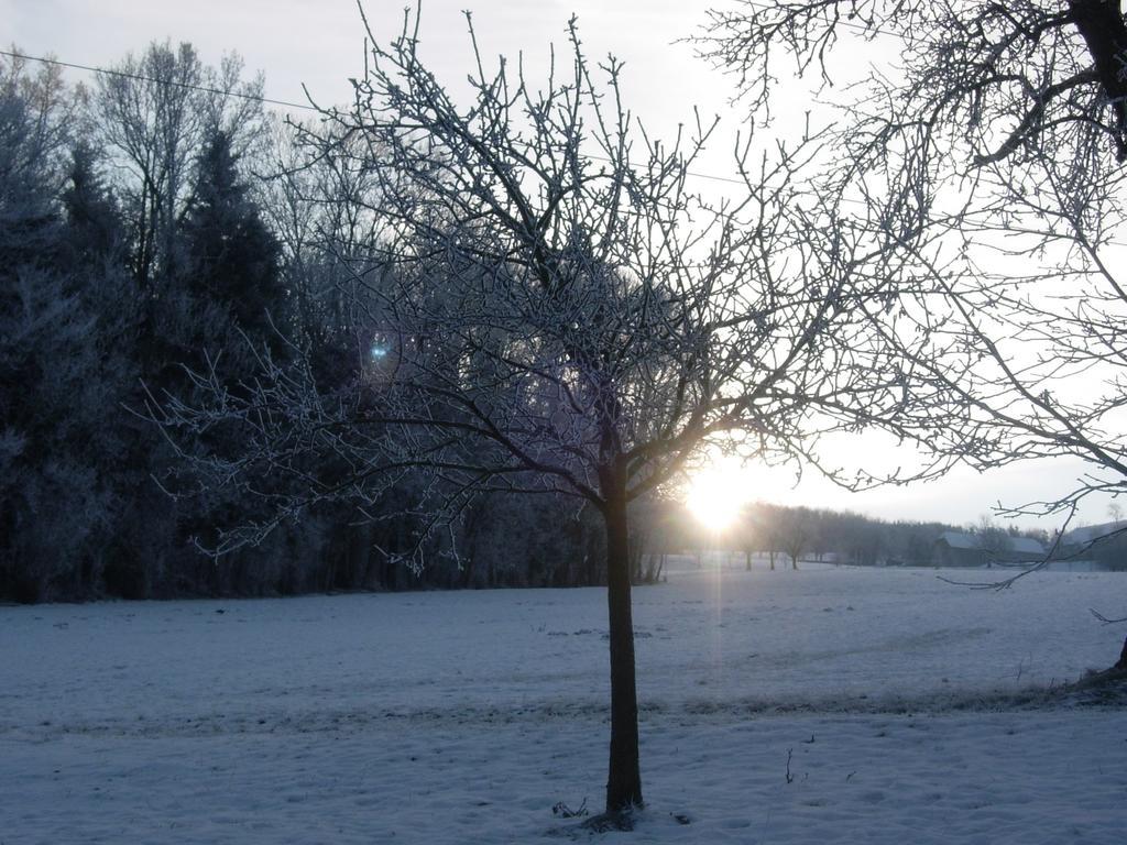 Kinderbauernhof Salmanner Steinbach an der Steyr エクステリア 写真